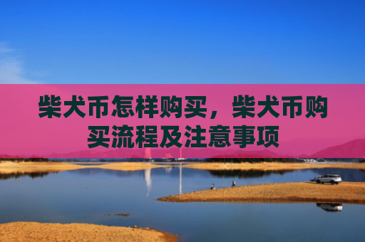 柴犬币怎样购买，柴犬币购买流程及注意事项