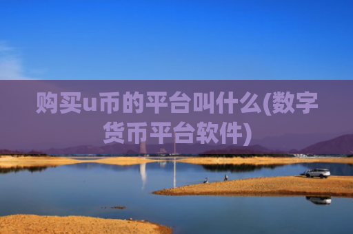 购买u币的平台叫什么(数字货币平台软件)