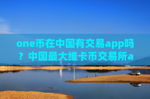 one币在中国有交易app吗?中国最大维卡币交易所app下载