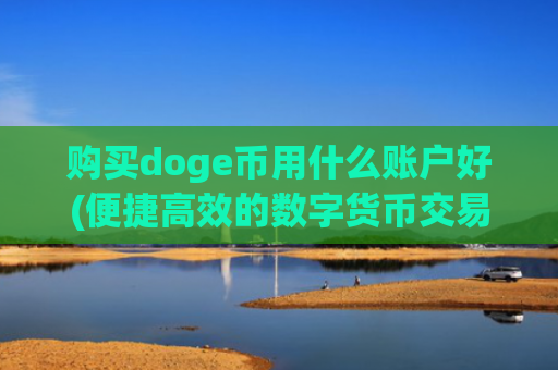 购买doge币用什么账户好(便捷高效的数字货币交易所)
