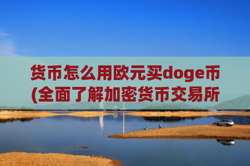 货币怎么用欧元买doge币(全面了解加密货币交易所)