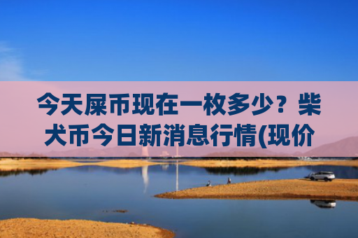 今天屎币现在一枚多少？柴犬币今日新消息行情(现价0.00018986元)