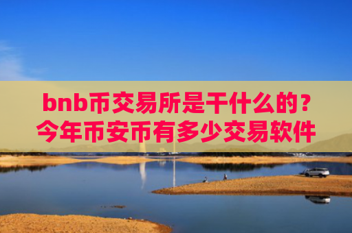 bnb币交易所是干什么的？今年币安币有多少交易软件