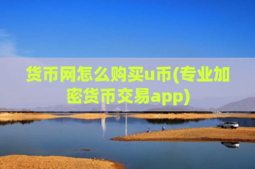货币网怎么购买u币(专业加密货币交易app)
