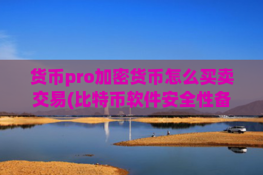 货币pro加密货币怎么买卖交易(比特币软件安全性备受信赖)
