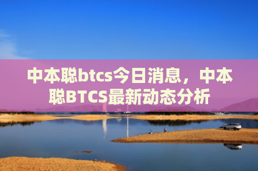 中本聪btcs今日消息，中本聪BTCS最新动态分析