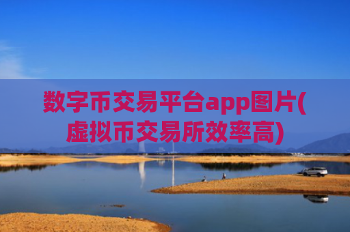 数字币交易平台app图片(虚拟币交易所效率高)