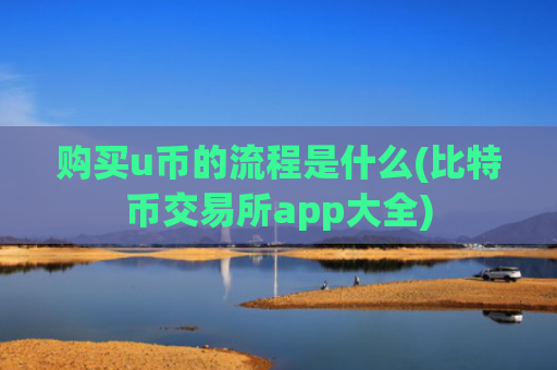 购买u币的流程是什么(比特币交易所app大全)