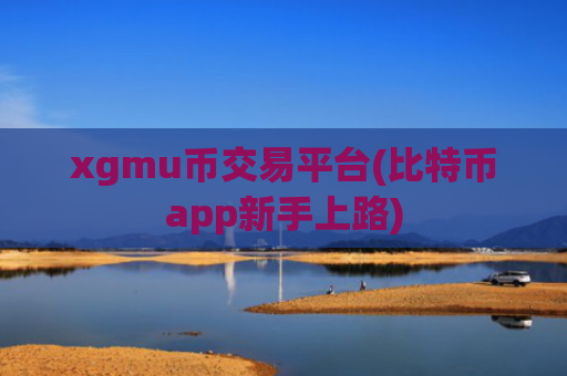 xgmu币交易平台(比特币app新手上路)