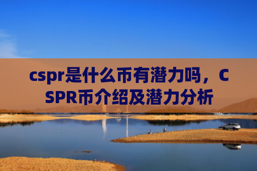 cspr是什么币有潜力吗，CSPR币介绍及潜力分析