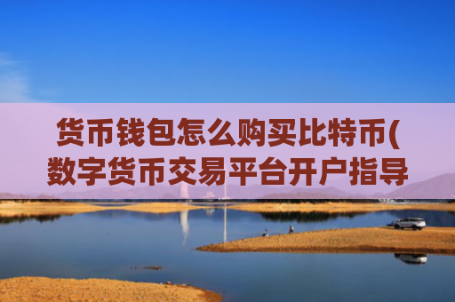 货币钱包怎么购买比特币(数字货币交易平台开户指导)