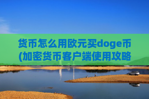 货币怎么用欧元买doge币(加密货币客户端使用攻略)