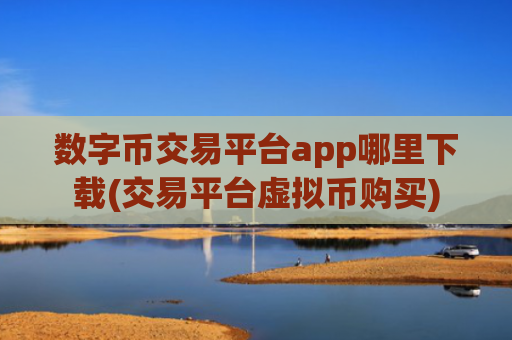 数字币交易平台app哪里下载(交易平台虚拟币购买)