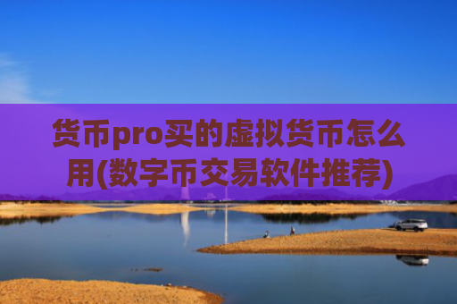 货币pro买的虚拟货币怎么用(数字币交易软件推荐)