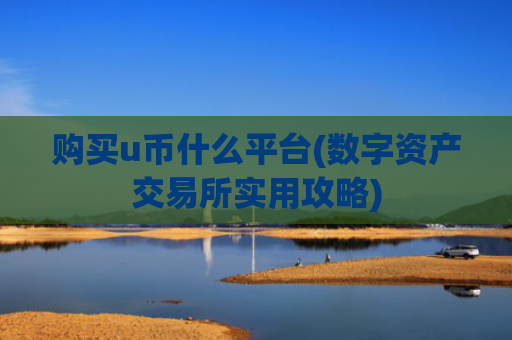 购买u币什么平台(数字资产交易所实用攻略)