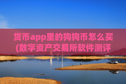 货币app里的狗狗币怎么买(数字资产交易所软件测评)