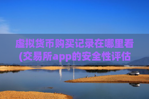 虚拟货币购买记录在哪里看(交易所app的安全性评估)