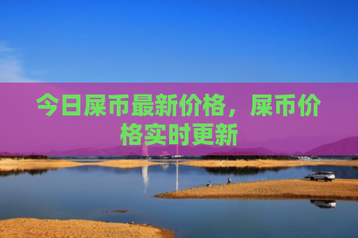 今日屎币最新价格，屎币价格实时更新
