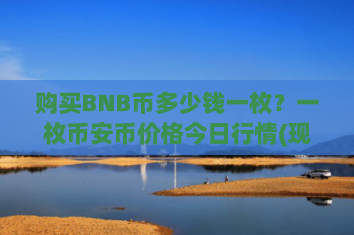 购买BNB币多少钱一枚？一枚币安币价格今日行情(现价4801.05元)