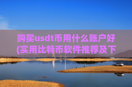 购买usdt币用什么账户好(实用比特币软件推荐及下载攻略)