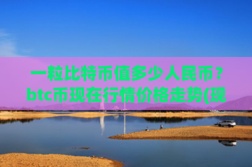 一粒比特币值多少人民币？btc币现在行情价格走势(现价692106.28元)