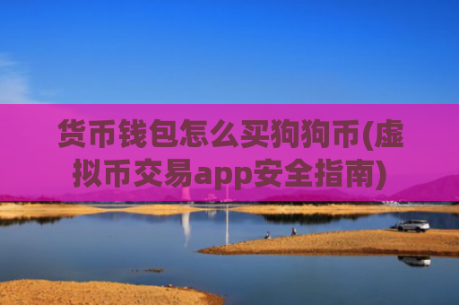 货币钱包怎么买狗狗币(虚拟币交易app安全指南)