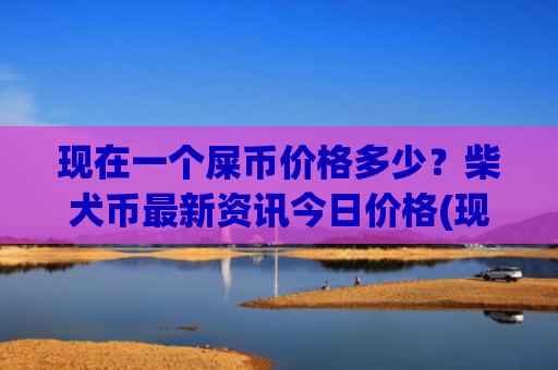 现在一个屎币价格多少?柴犬币最新资讯今日价格(现价0.00018169元)