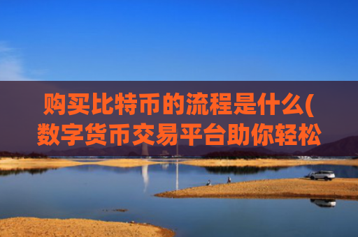 购买比特币的流程是什么(数字货币交易平台助你轻松交易)