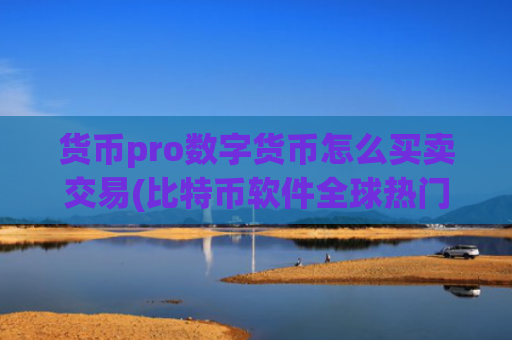 货币pro数字货币怎么买卖交易(比特币软件全球热门交易平台)