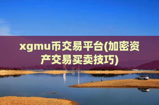 xgmu币交易平台(加密资产交易买卖技巧)