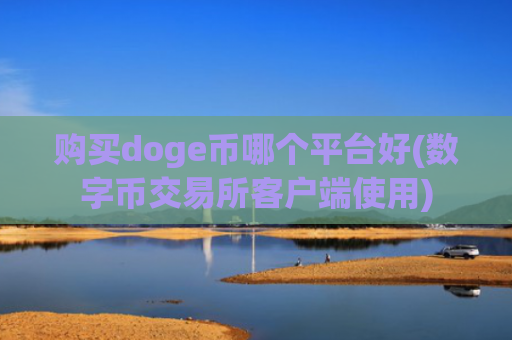购买doge币哪个平台好(数字币交易所客户端使用)