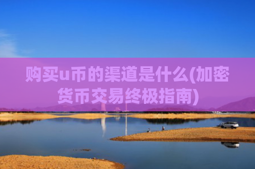 购买u币的渠道是什么(加密货币交易终极指南)