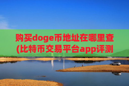 购买doge币地址在哪里查(比特币交易平台app评测)
