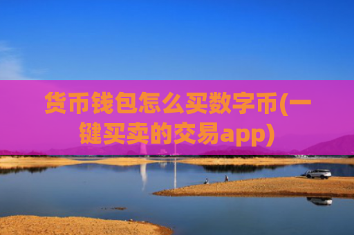 货币钱包怎么买数字币(一键买卖的交易app)