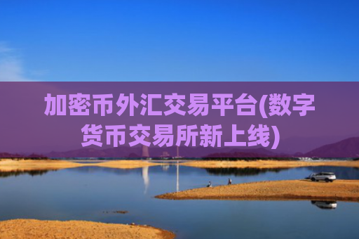 加密币外汇交易平台(数字货币交易所新上线)