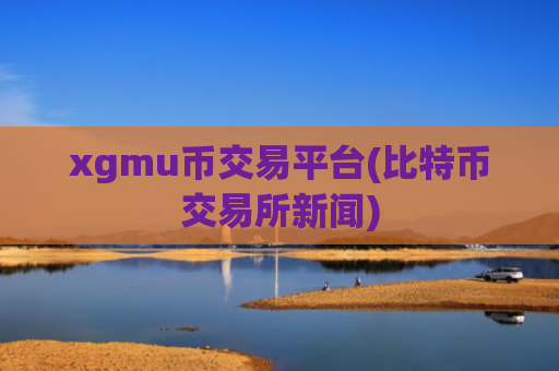 xgmu币交易平台(比特币交易所新闻)