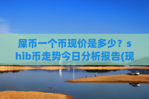 屎币一个币现价是多少？shib币走势今日分析报告(现价0.00018062元)