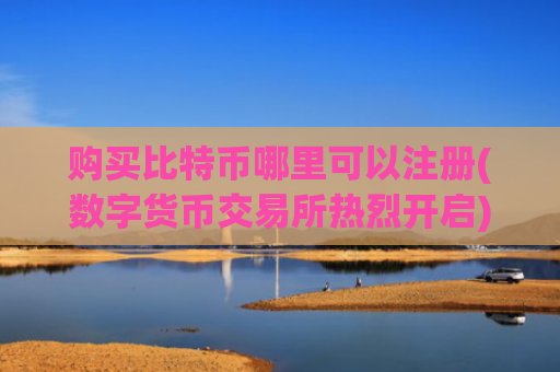 购买比特币哪里可以注册(数字货币交易所热烈开启)