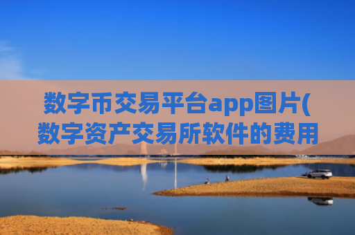 数字币交易平台app图片(数字资产交易所软件的费用)