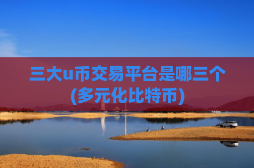 三大u币交易平台是哪三个(多元化比特币)