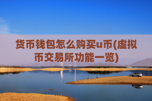 货币钱包怎么购买u币(虚拟币交易所功能一览)