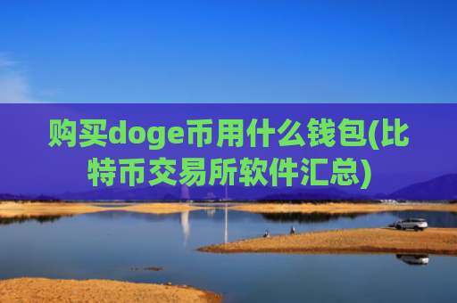购买doge币用什么钱包(比特币交易所软件汇总)