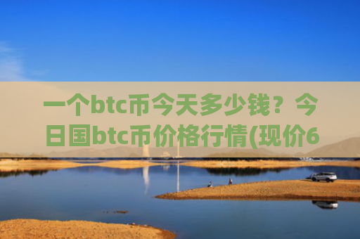 一个btc币今天多少钱？今日国btc币价格行情(现价686118.62元)