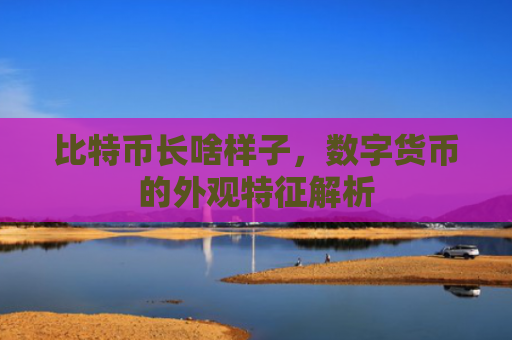 比特币长啥样子，数字货币的外观特征解析