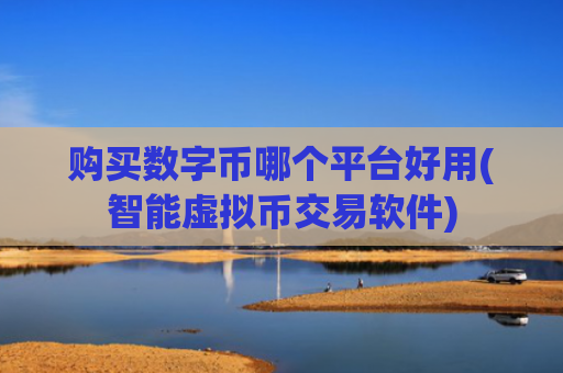 购买数字币哪个平台好用(智能虚拟币交易软件)