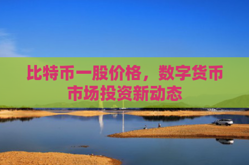 比特币一股价格，数字货币市场投资新动态