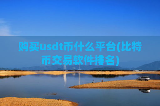 购买usdt币什么平台(比特币交易软件排名)