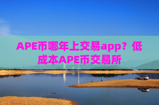 APE币哪年上交易app？低成本APE币交易所