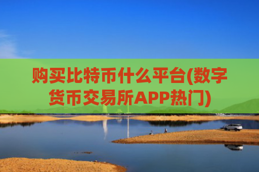 购买比特币什么平台(数字货币交易所APP热门)