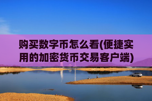 购买数字币怎么看(便捷实用的加密货币交易客户端)